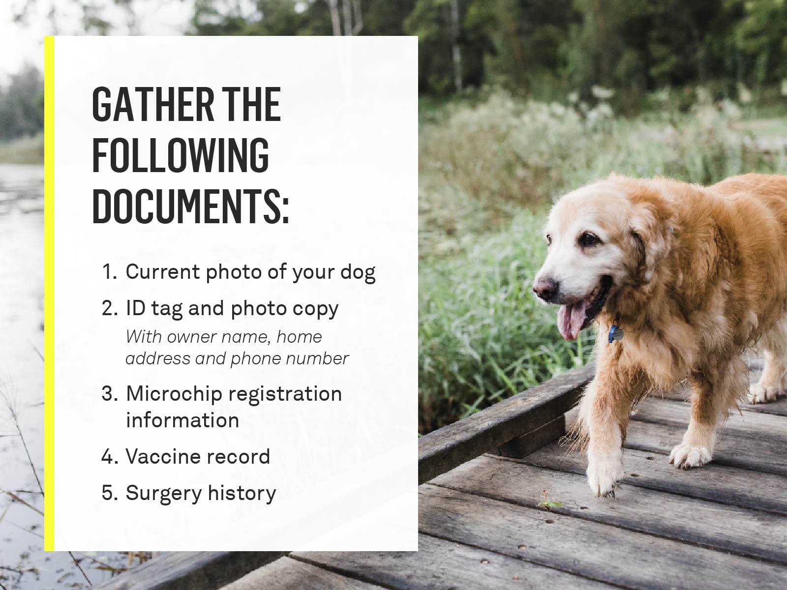 gather-medical-records
