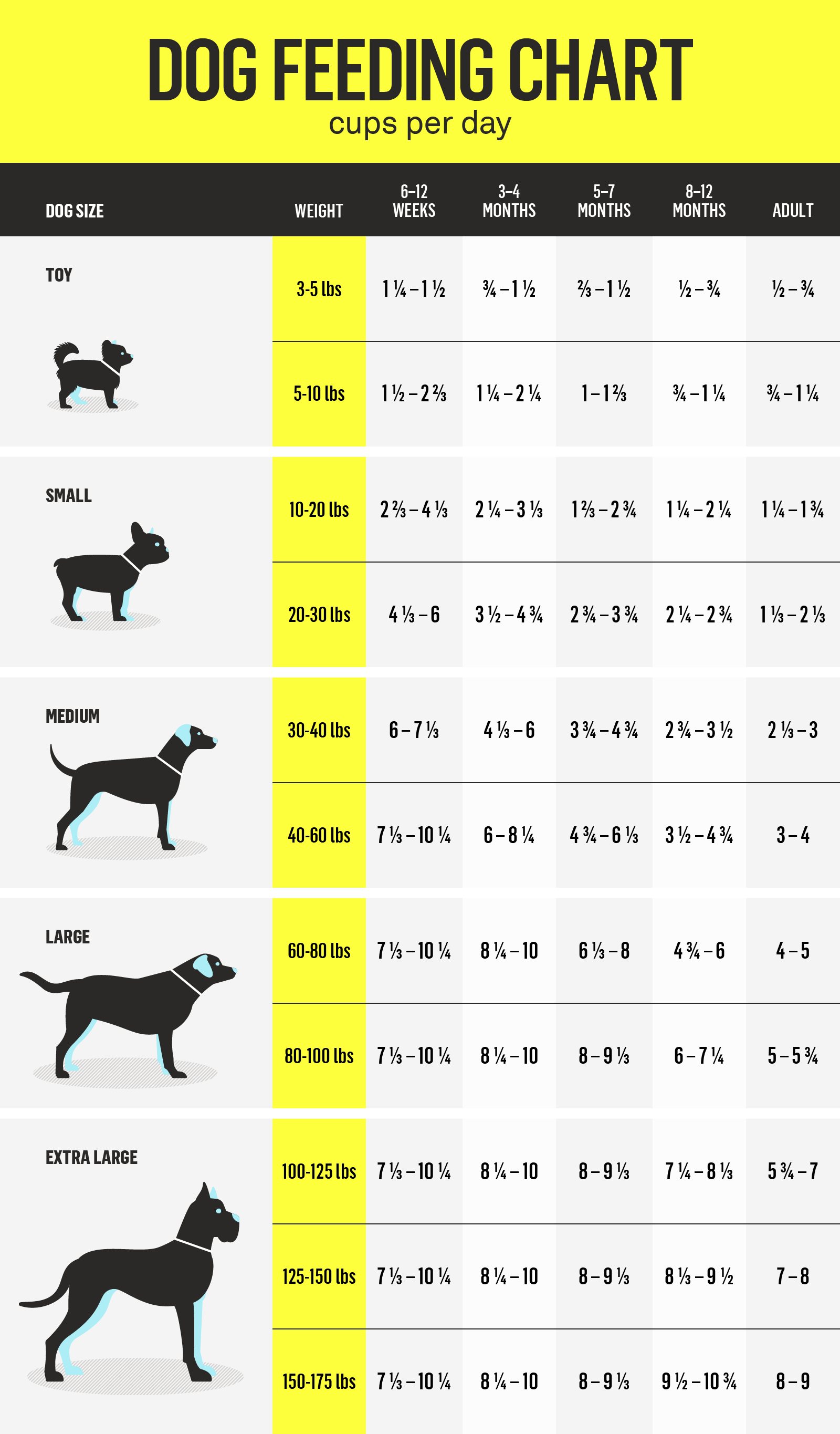 How Much Food Should I Feed My Dog Chart?