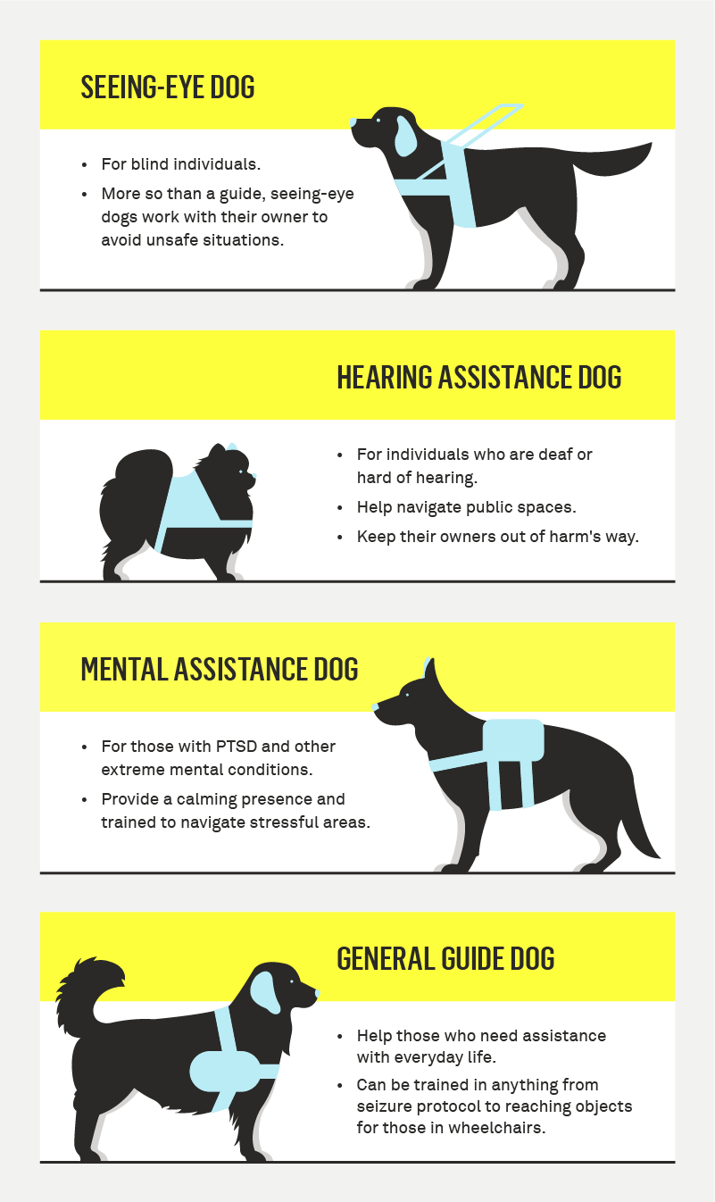 hizmet köpekleri türleri