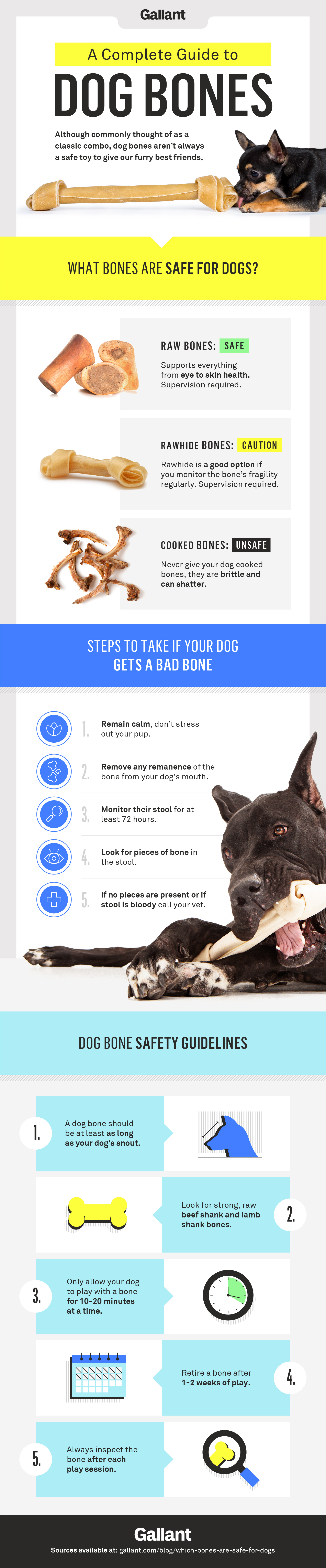 safe dog bones for puppies