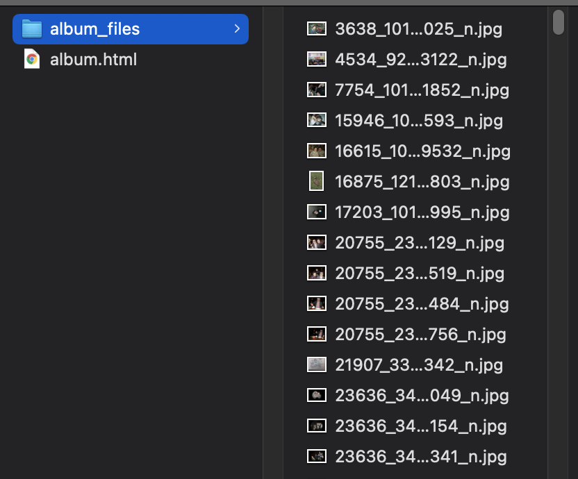 Screenshot of a filesystem displaying a list of downloaded Facebook files.