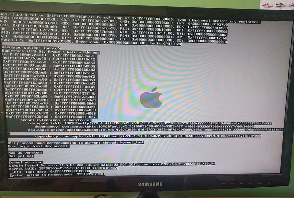 Picture of a Kernal Panic on a Hackintosh