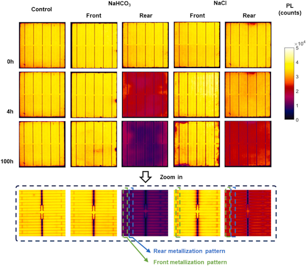 Photoluminescence images of TOPCon cells taken at various stages during dump heat test Image: UNSW, Solar Energy Materials and Solar Cells, Common License CC BY 4.0