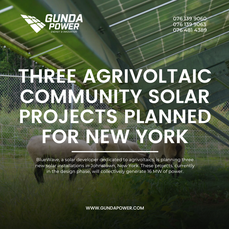 Three Agrivoltaic Community Solar Projects Planned for New York