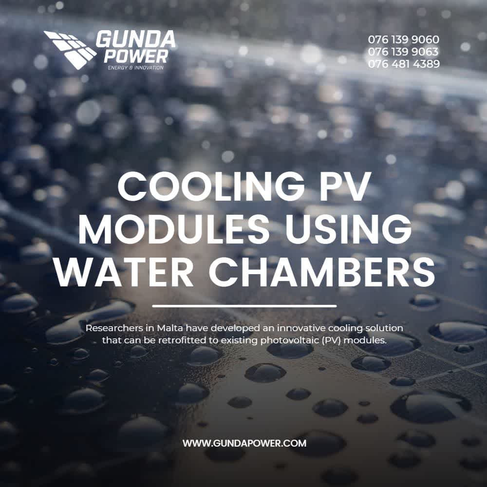N-Type Solar Panels: The Next Generation of Solar Technology | Gunda Power