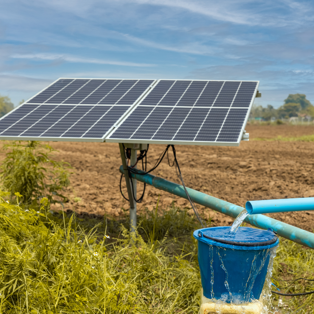 Farmland Trust Proposes Policy Framework for Agricultural Solar Integration