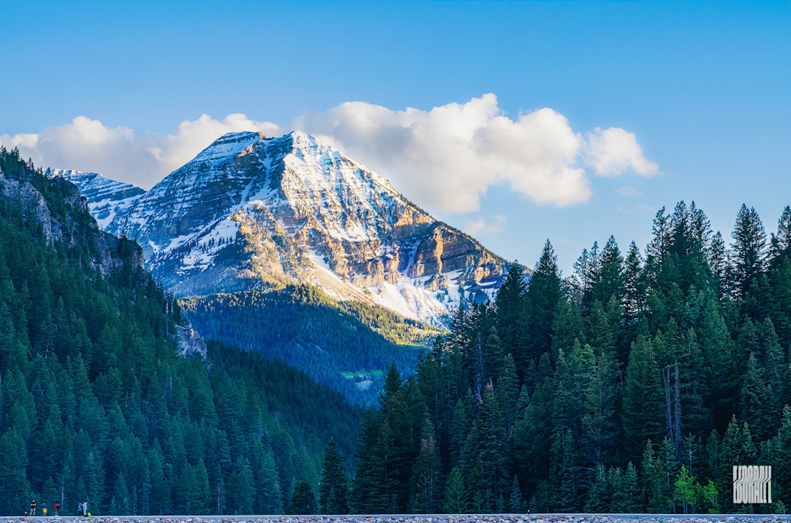 JosephEborall-Fine-Art-4