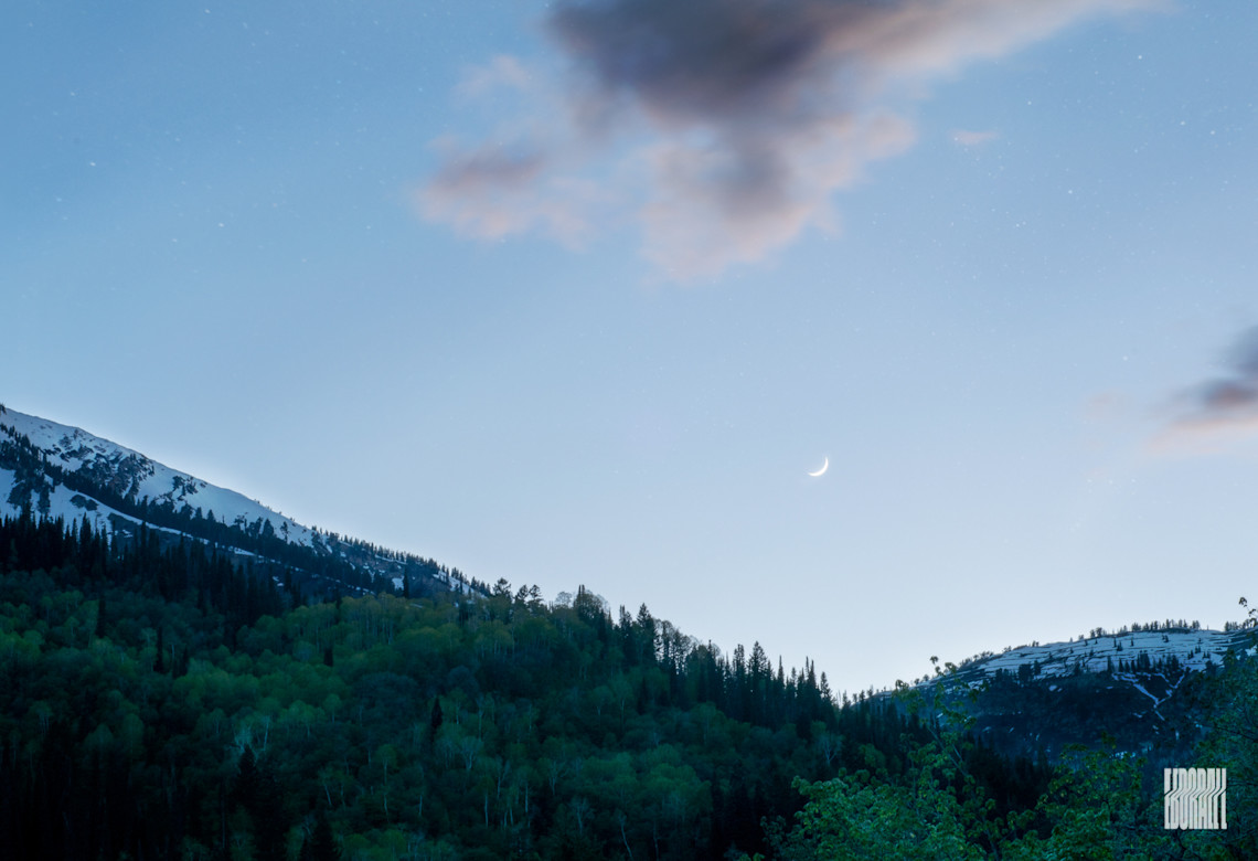 JosephEborall-Fine-Art-2