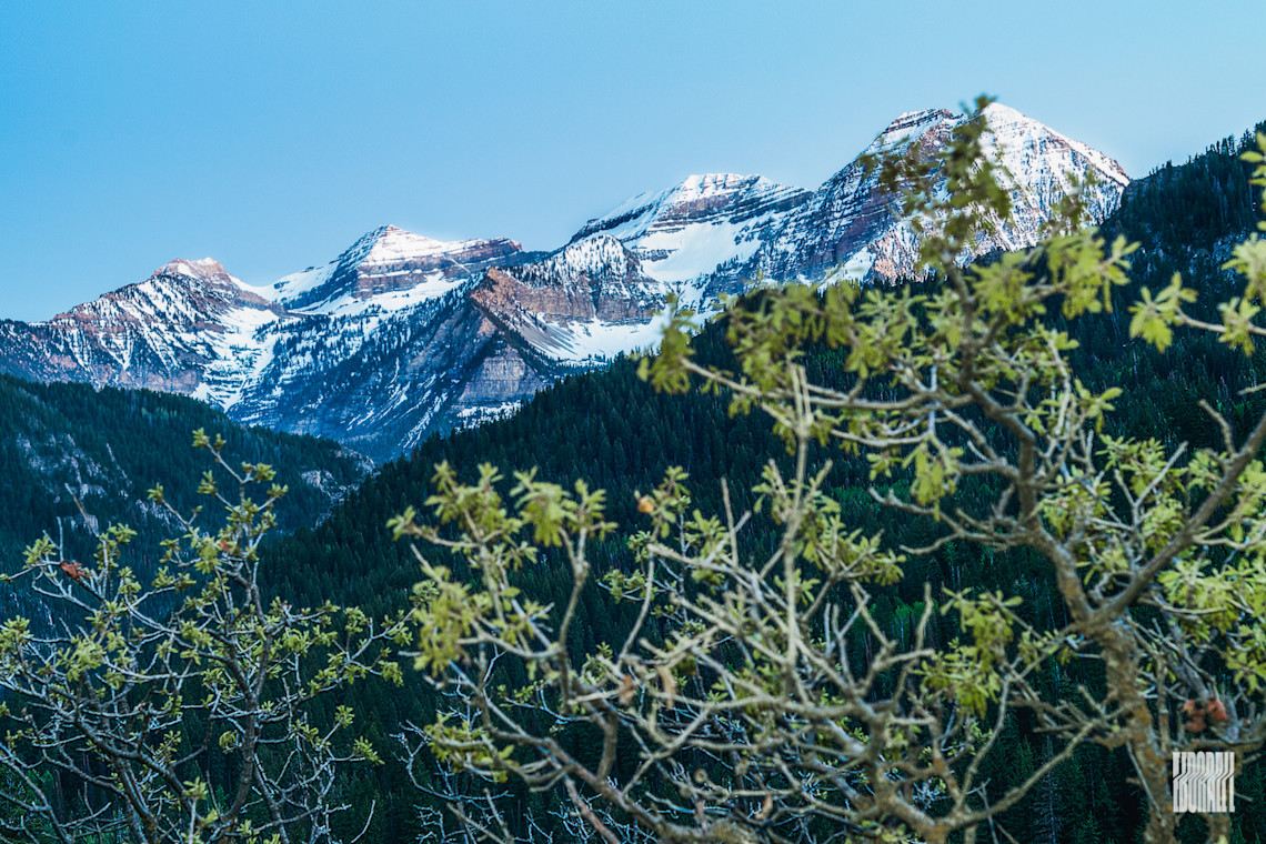 JosephEborall-Fine-Art