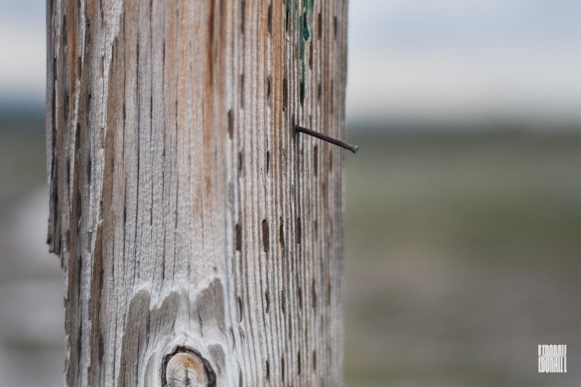 JosephEborall-Post-Nail-20200517-8pm-E-7th-S-50.0mm-f-1.8-180-NIKON-D3300