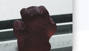 "GummiShelter" Non-profit - Project Thumbnail