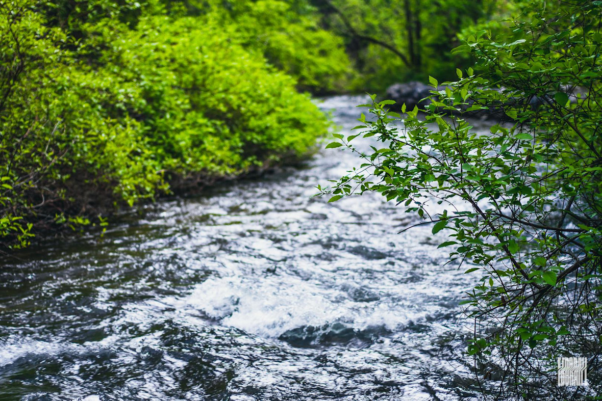 JosephEborall-Water-Wood-20200524-7pm-Mt-Timpanogos-50.0mm-f-1.8-1100-NIKON-D3300-Tripod