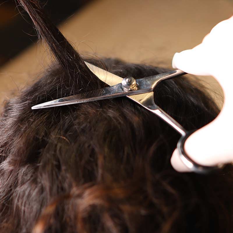 Die Haarprobe wird am Hinterkopf entnommen und muss so nah wie möglich an der Kopfhaut abgeschnitten werden.