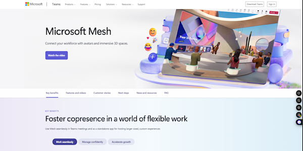 mesh