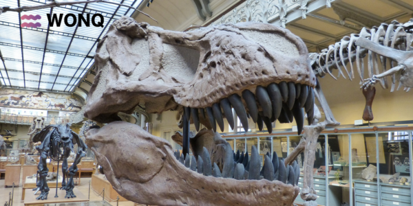 博物館VR導入のメリットと課題