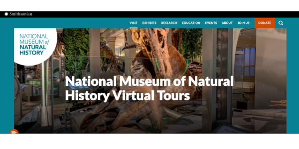 スミソニアン国立自然史博物館 バーチャルツアー