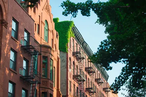 Neighborhood Block