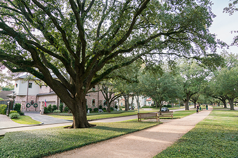 tanglewood houston neighborhood