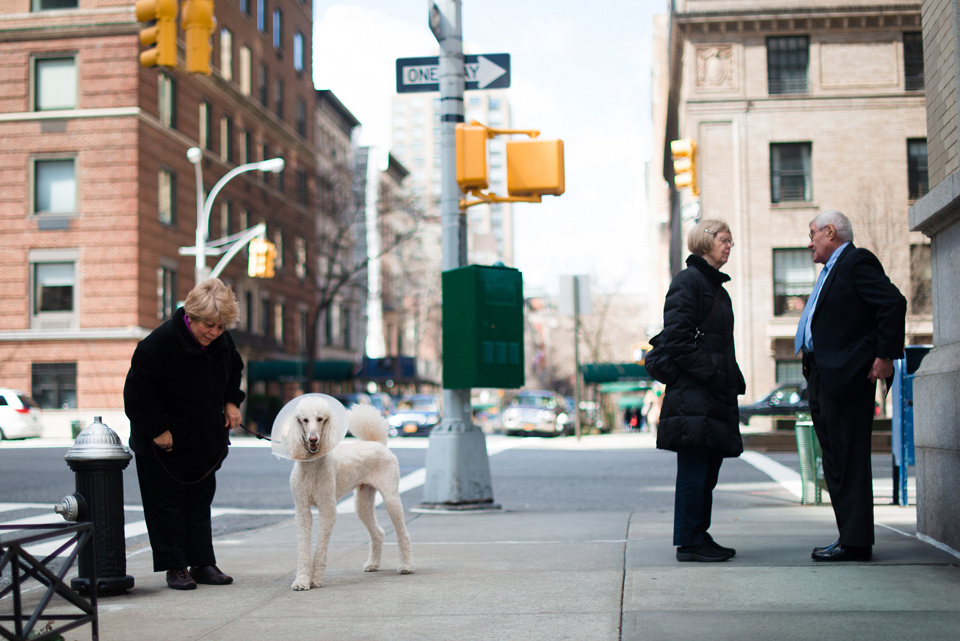 Upper East Side, Manhattan, Boroughs & Neighborhoods