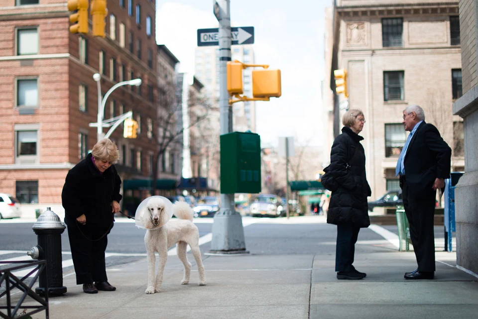 Upper East Side NY Homes for Sale Real Estate Compass