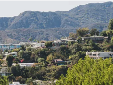 Suggested Neighborhood