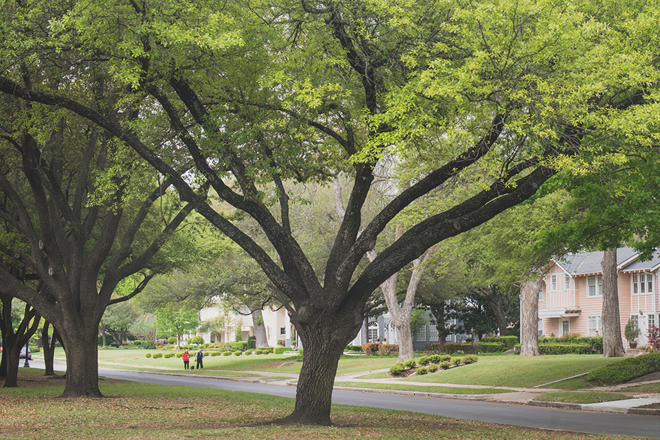 Neighborhood Block