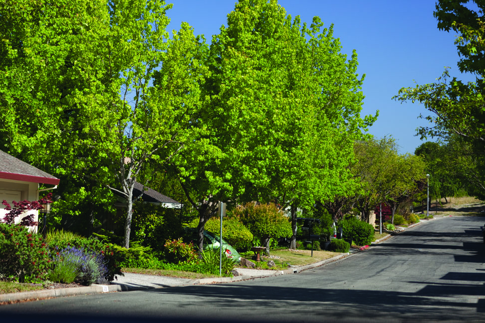 Neighborhood Block