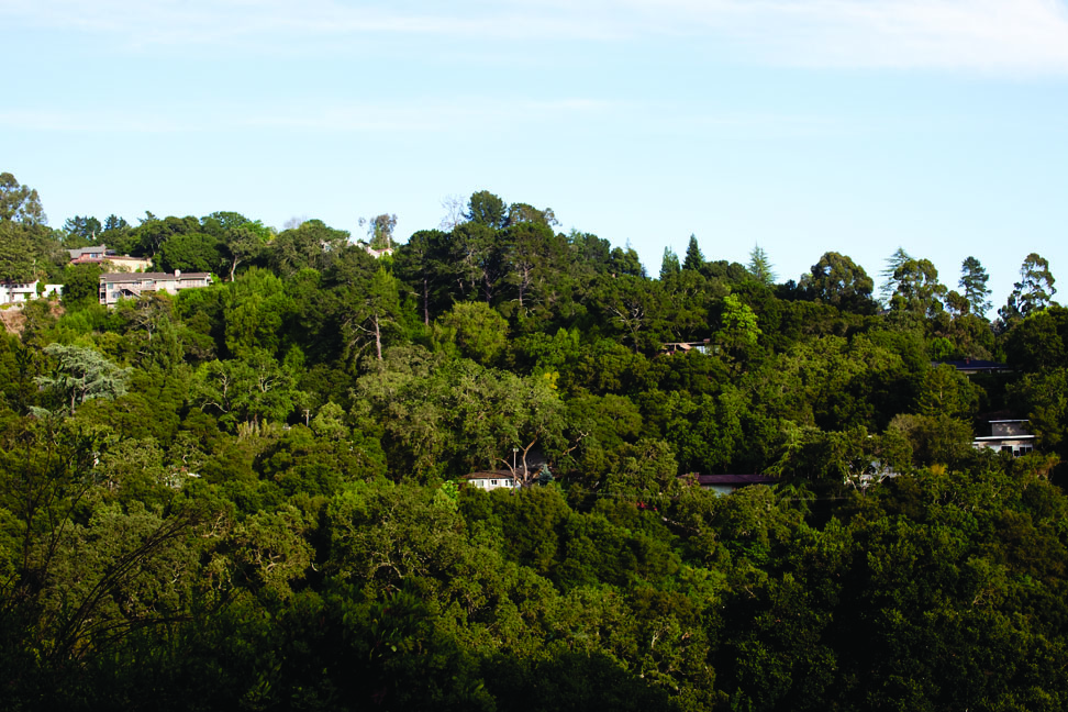 Neighborhood Block