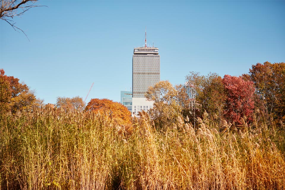 Fenway, Boston Neighborhood Guide - Nooklyn