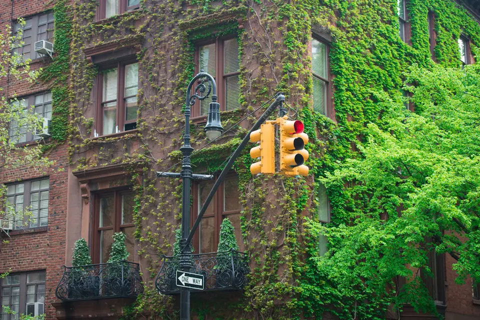 Neighborhood Block