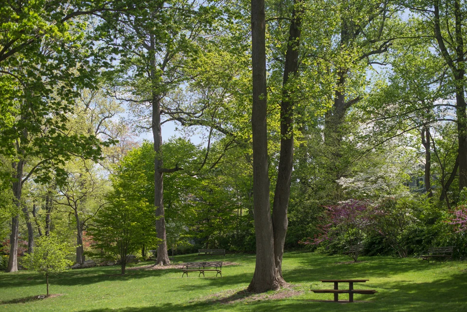Neighborhood Block