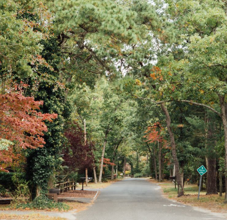 Medford & Medford Lakes