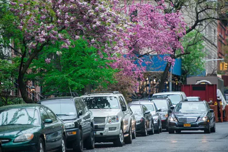 Neighborhood Block
