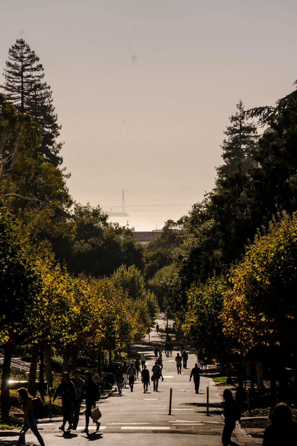 Neighborhood Block