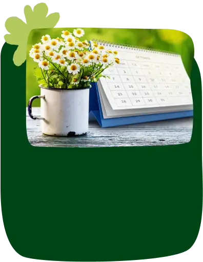 Fondo Banner calculadora Menstrual 