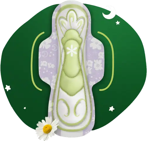 Alas reposicionadas para mejor protección* bg dark green