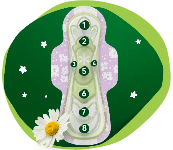 6 zonas de protección que aguantan más* with bg green