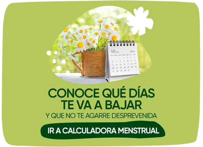 NaturellaMEX_mujer-disfruta-naturaleza_380x275px