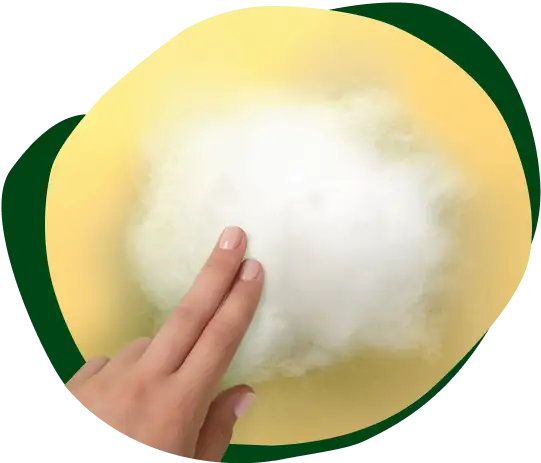 NATURELLA DIARIOS: Fibras orgánicas súper absorbentes DT