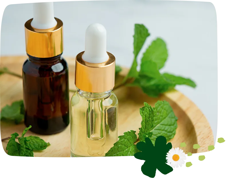 ¿Qué es la aromaterapia y cuáles son sus beneficios? Banner SP
