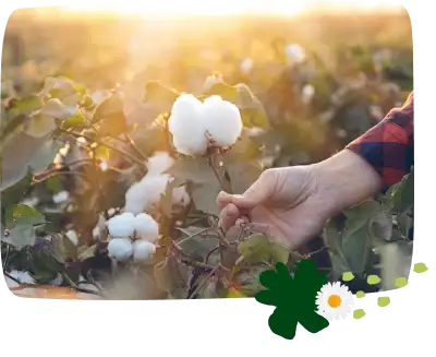 ¿Cómo debe verse una verdadera toalla orgánica femenina? SP