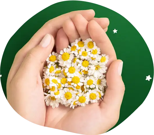 Nuevo aroma
controla olores