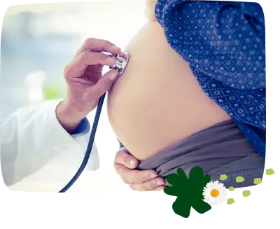 EL FLUJO EN EL EMBARAZO SP