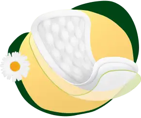 Capa de extra protección DT