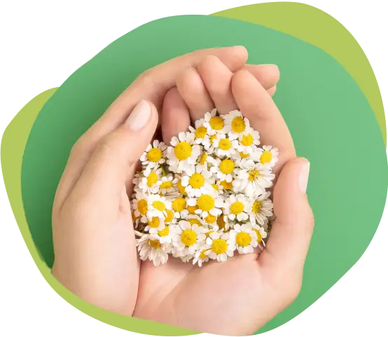 Nuevo aroma, libre de alérgenos