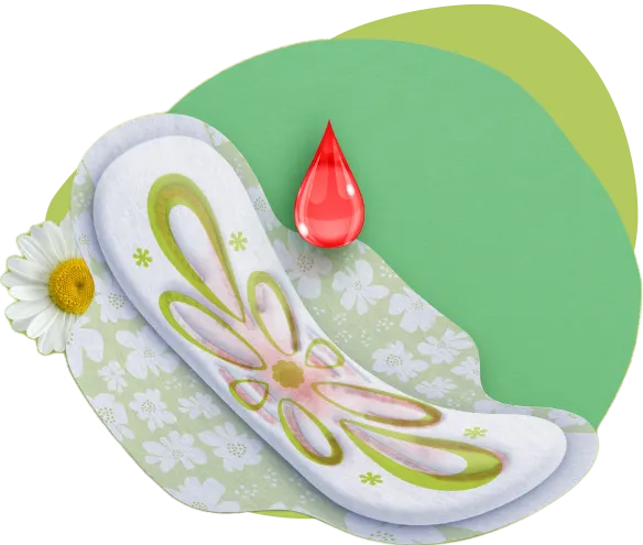 Canales que absorben y distribuyen el fluido bg green and canales