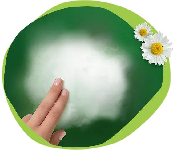 Fibras orgánicas súper absorbentes