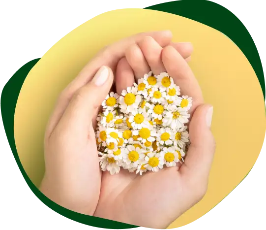 NATURELLA DIARIOS: Aroma a manzanillaDT, controla olores