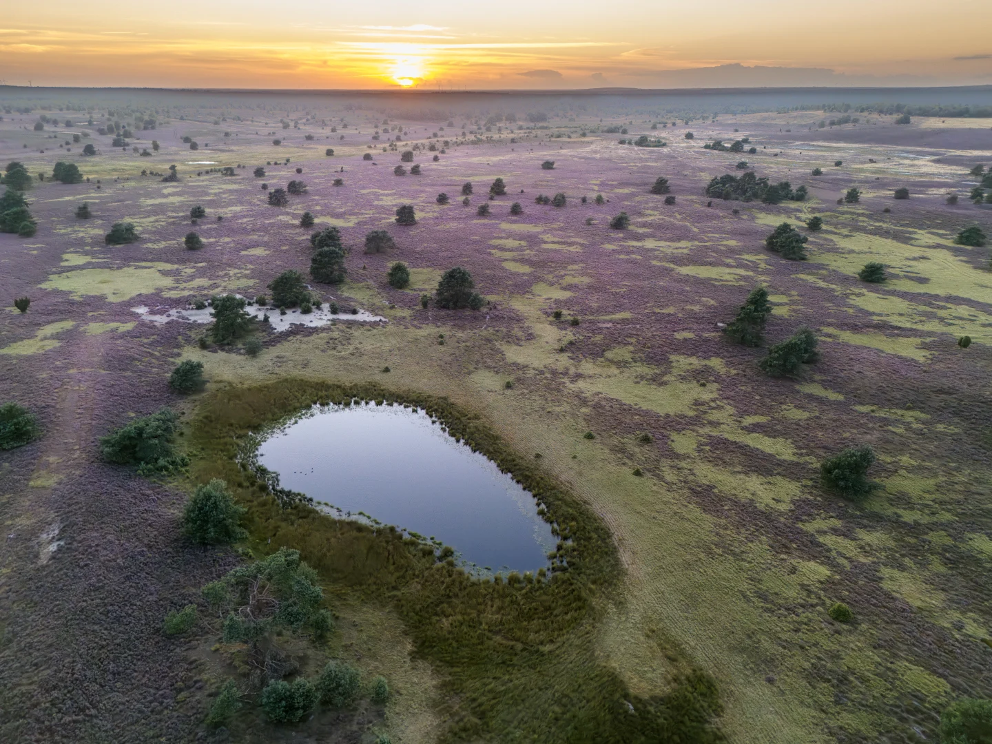 Bild - Luftaufnahme Heide See