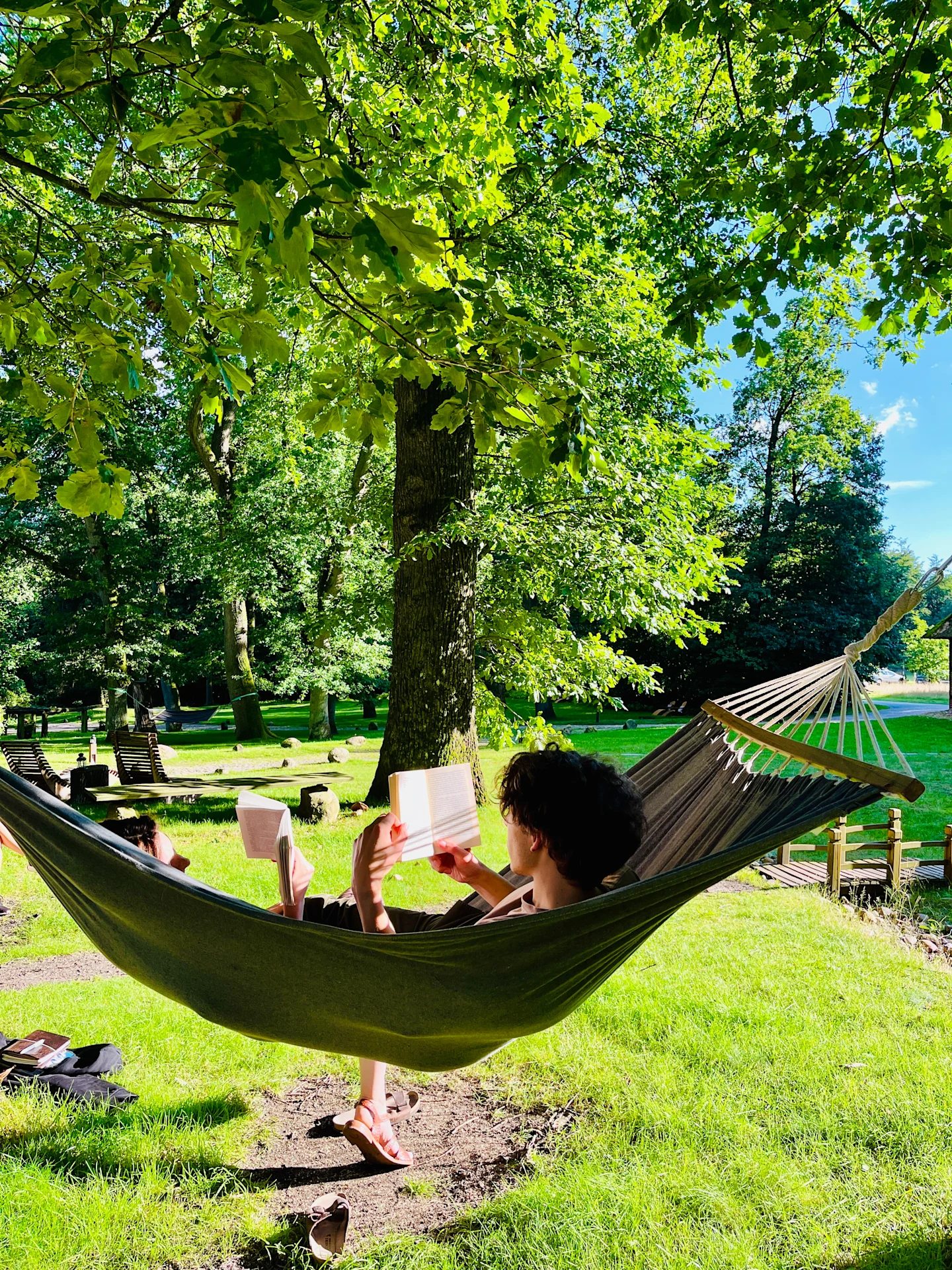 Bild - Hängematte Buch lesen
